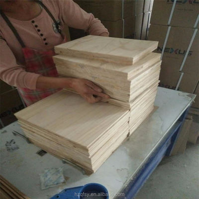 Unisex ABS Paulownia Board Toon Taekwondo Breaking Prowess
