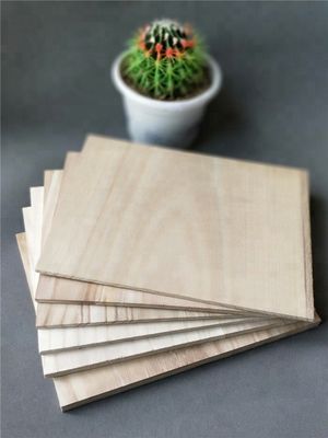 Verbrekbare Taekwondo-planken 225*300mm met aangepaste logo's