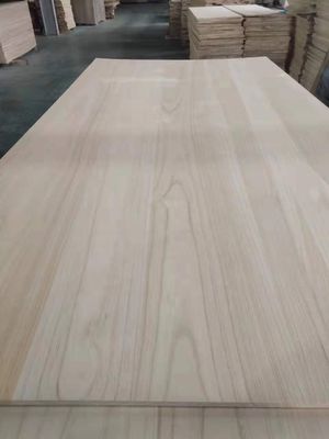 Werkplaats voor het oplossen van projecten van modern massief hout paulownia