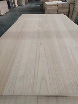 Werkplaats voor het oplossen van projecten van modern massief hout paulownia