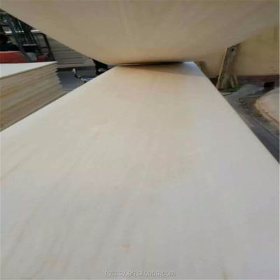 Hotelkleur Paulownia Houtplaat milieuvriendelijk Industrieel Natuurhout Solid Paulownia Hout