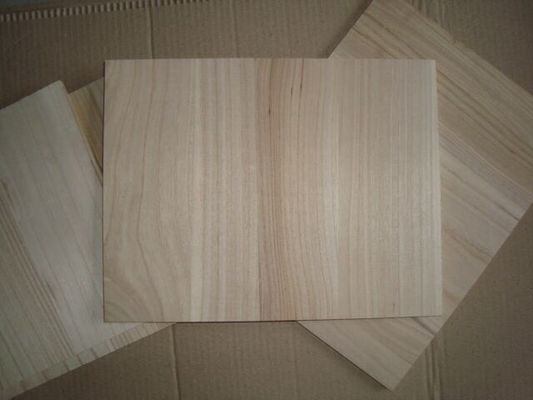 Duurzame houten breekplanken voor karate-training