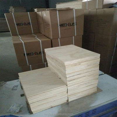 Lichte Unisex vechtsporten Breaking Boards voor prestaties binnen Taekwondo