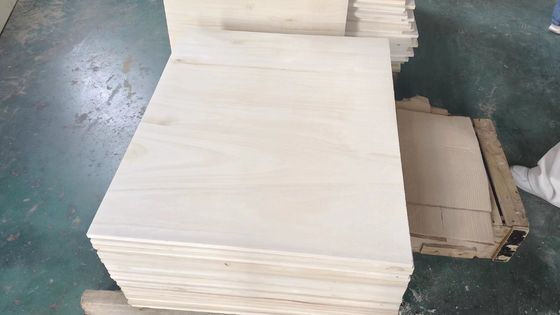 Totale oplossing Paulownia gebleekt plaat 2440*1220 mm voor projecten in verkoop