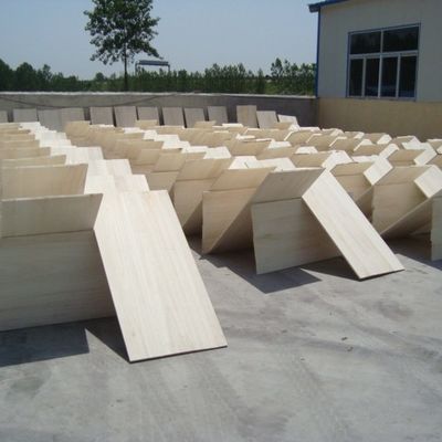 Milieuvriendelijk paulownia massief hout paneel hout voor modern ontwerp