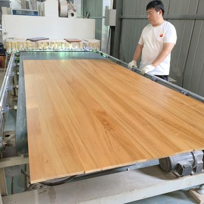 Gecarboniseerd Popelhout Board Breedte 100-1220mm Met online technische ondersteuning