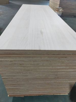 Bouwbouw Blekend Paulownia Grondhout 4X8 Houtplaat Prijs 300 kg/m3