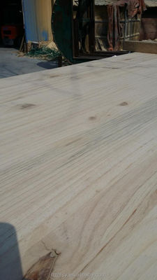 Werkplaats en projectoplossing Pinijn massief hout product met aanpasbaar ontwerp