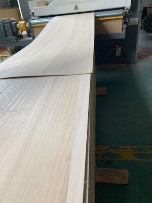 280-300 kg/cbm Dichtheid Solid Paulownia Hout Naverkoopservice Terugzending en vervanging