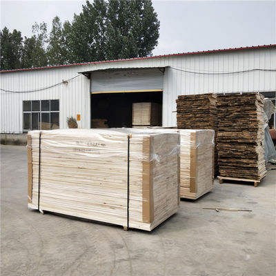 Paulownia Hout voor meubelplaten Contemporary Design and Workshop Handcraft